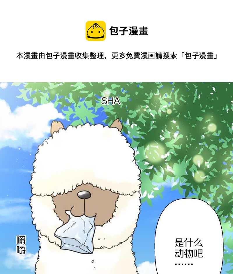 毛球星传说 第33集(1/3)-第33话
