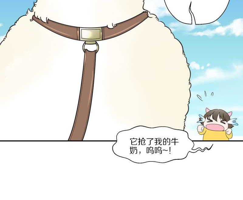 毛球星传说 第33集(1/3)-第33话