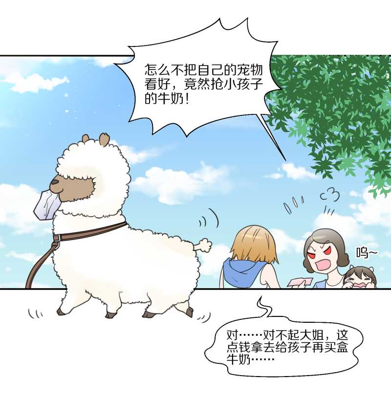 毛球星传说 第33集(1/3)-第33话