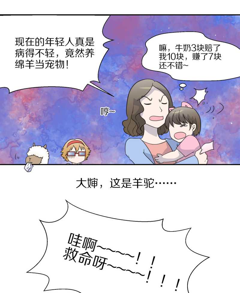毛球星传说 第33集(1/3)-第33话