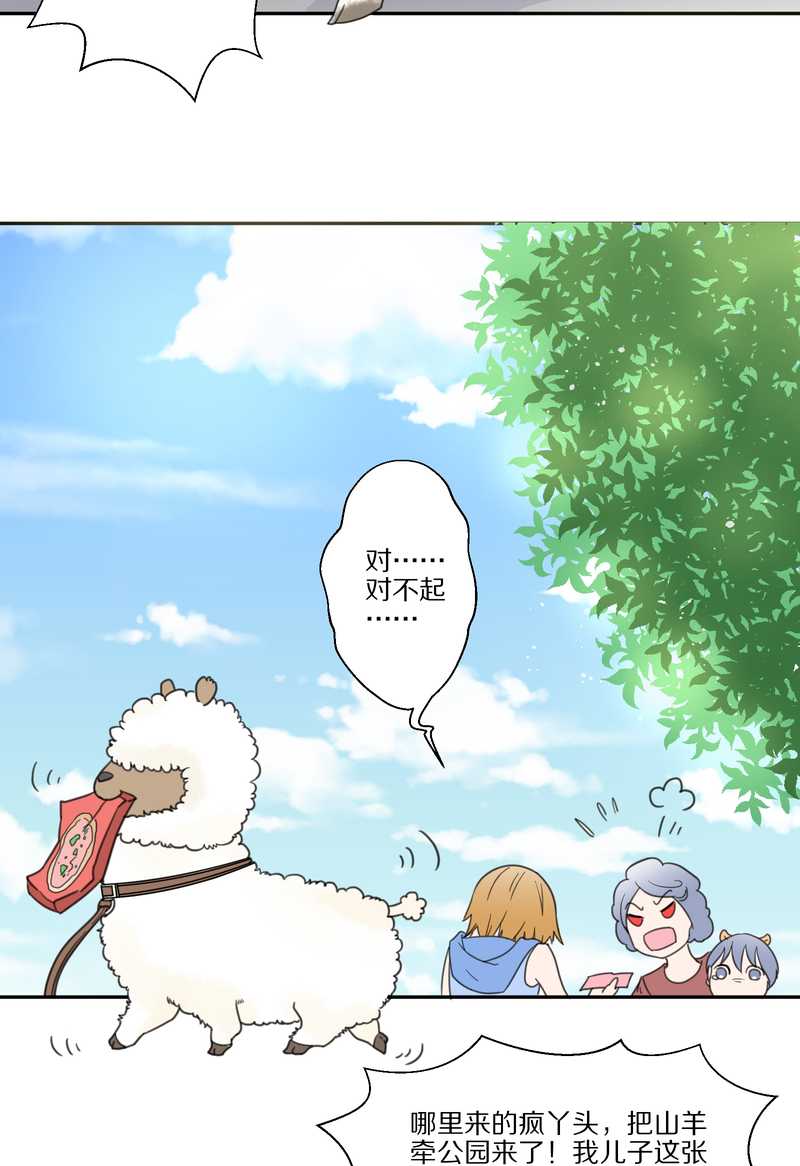 毛球星传说 第33集(1/3)-第33话