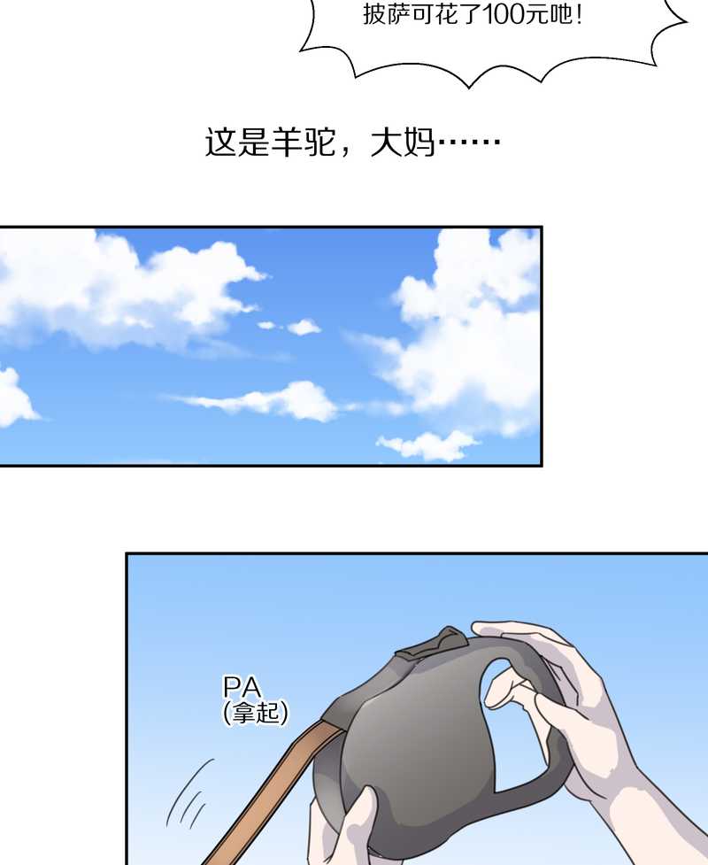 毛球星传说 第33集(1/3)-第33话