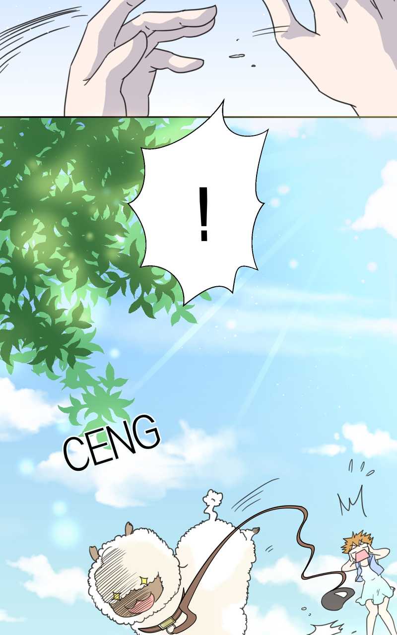 毛球星传说 第33集(1/3)-第33话