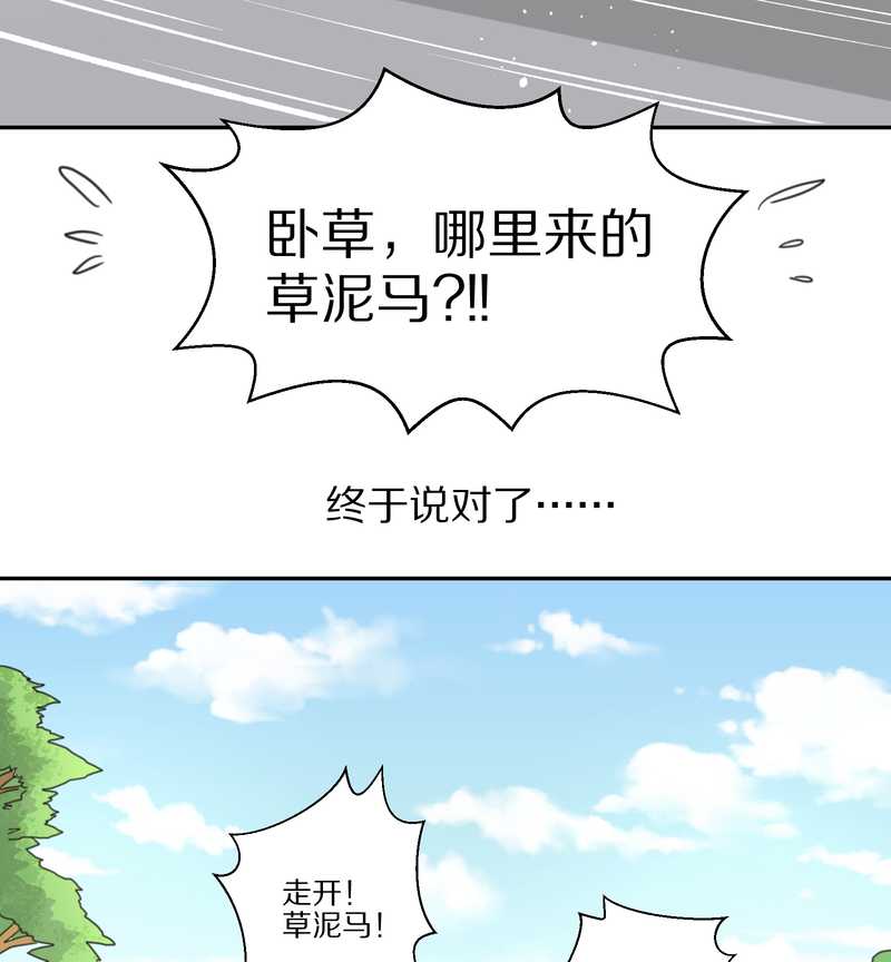 毛球星传说 第33集(1/3)-第33话