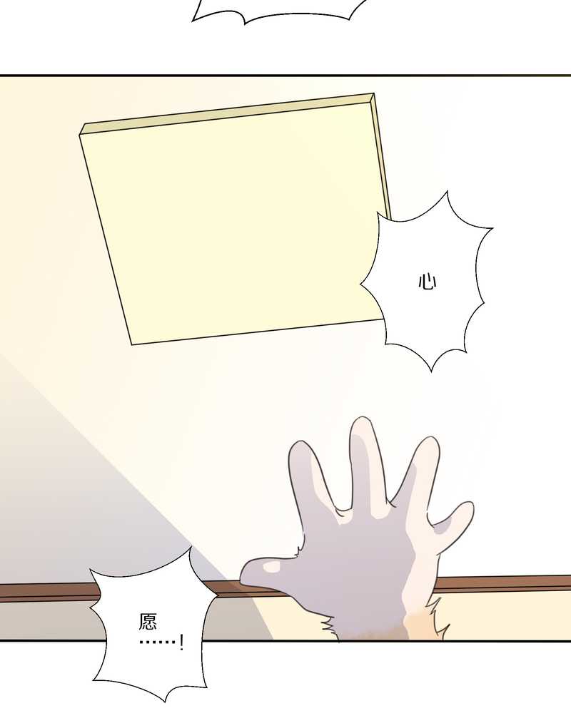 毛球星传说 第33集(1/3)-第33话