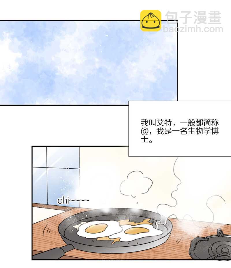 毛球星传说 第33集(1/3)-第33话