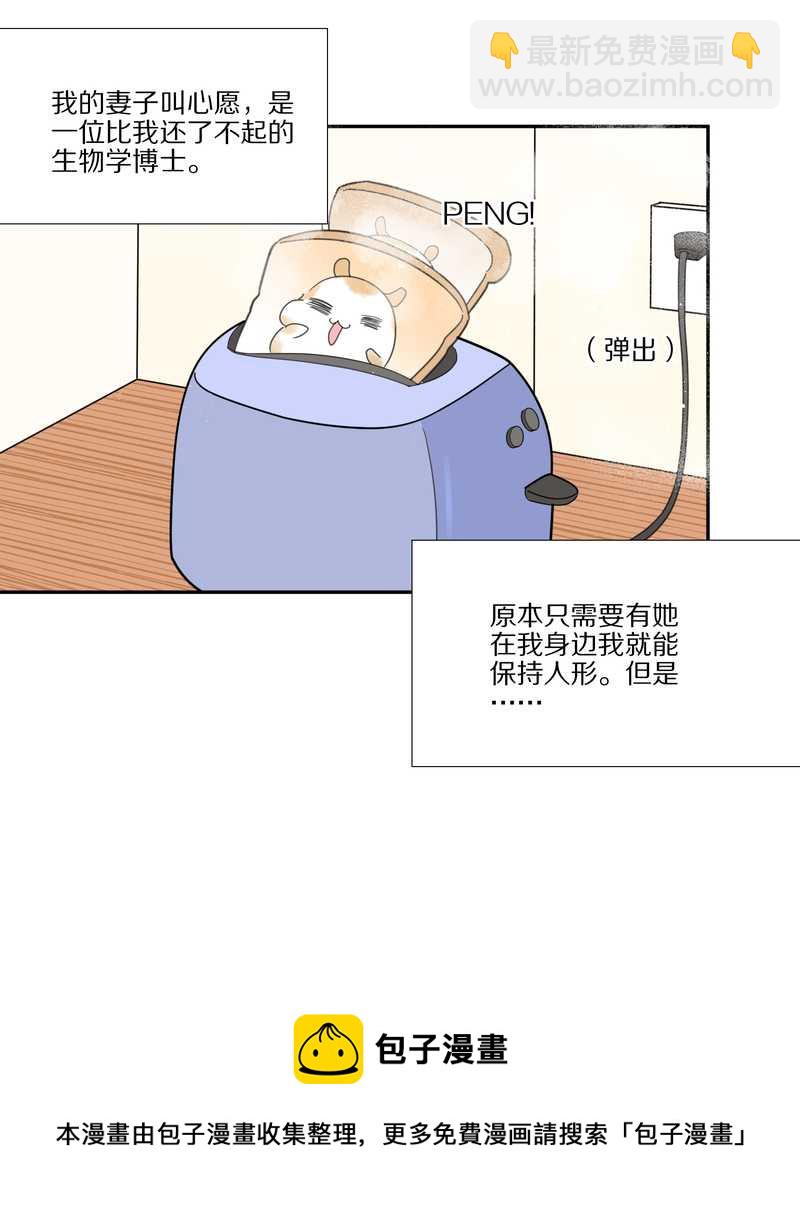 毛球星传说 第33集(1/3)-第33话