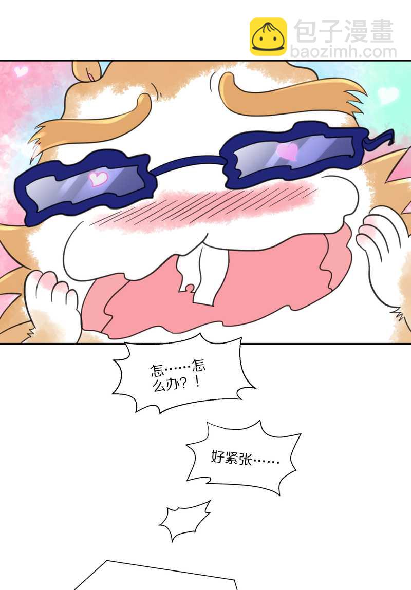 毛球星传说 第35集(1/2)-第35话