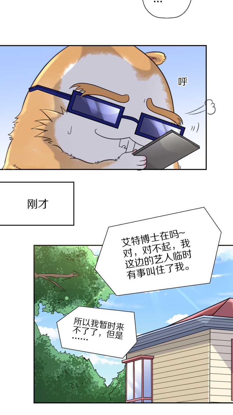 毛球星传说 第35集(1/2)-第35话