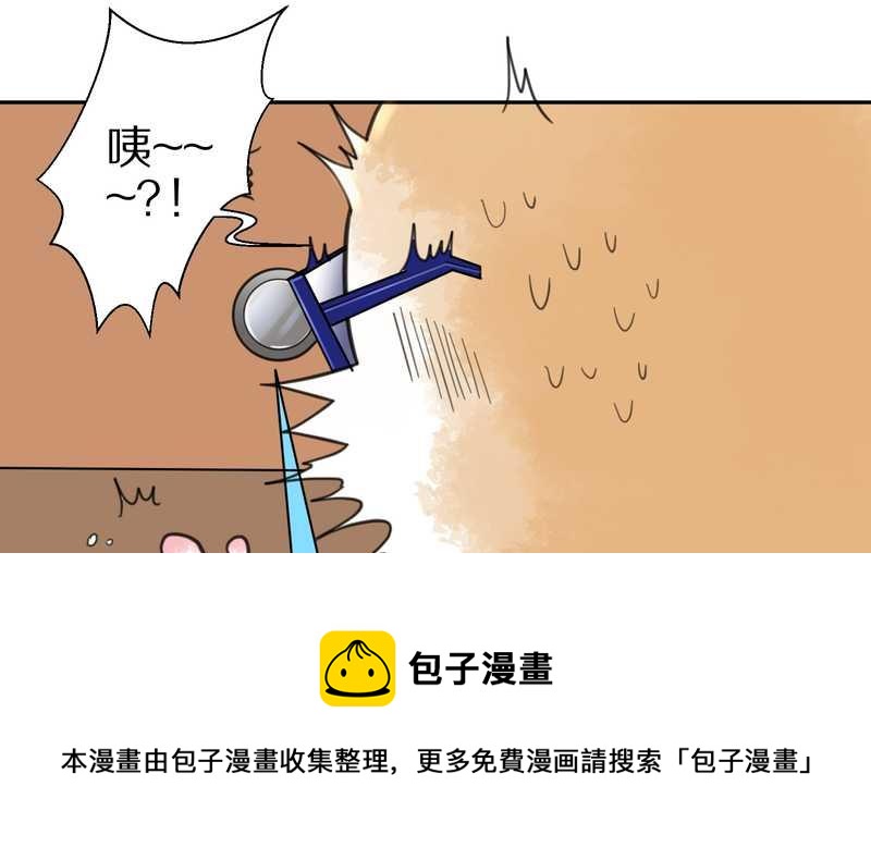 毛球星传说 第35集(1/2)-第35话