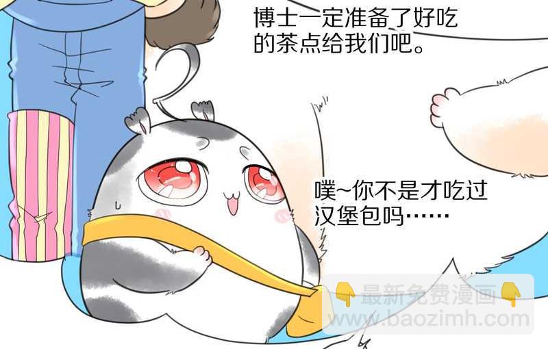 毛球星传说 第35集(1/2)-第35话