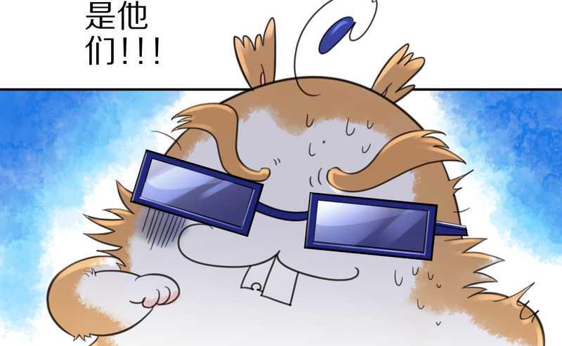 毛球星传说 第35集(1/2)-第35话