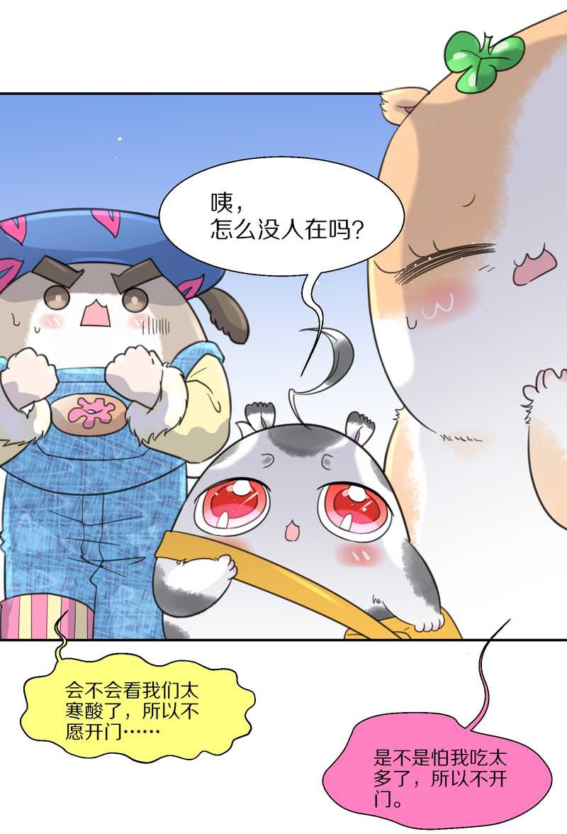 毛球星传说 第35集(1/2)-第35话