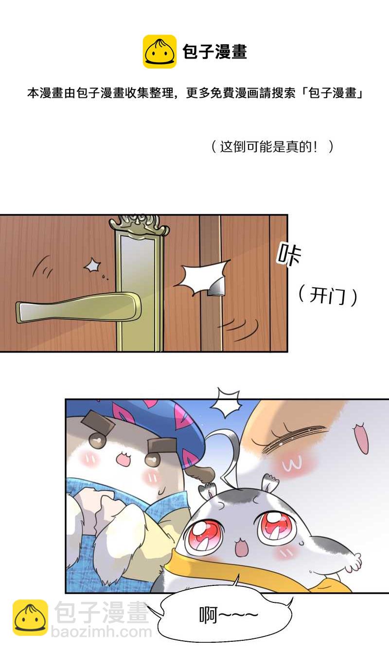 毛球星传说 第35集(1/2)-第35话