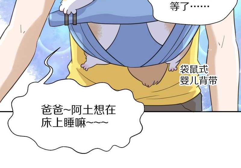 毛球星传说 第35集(1/2)-第35话