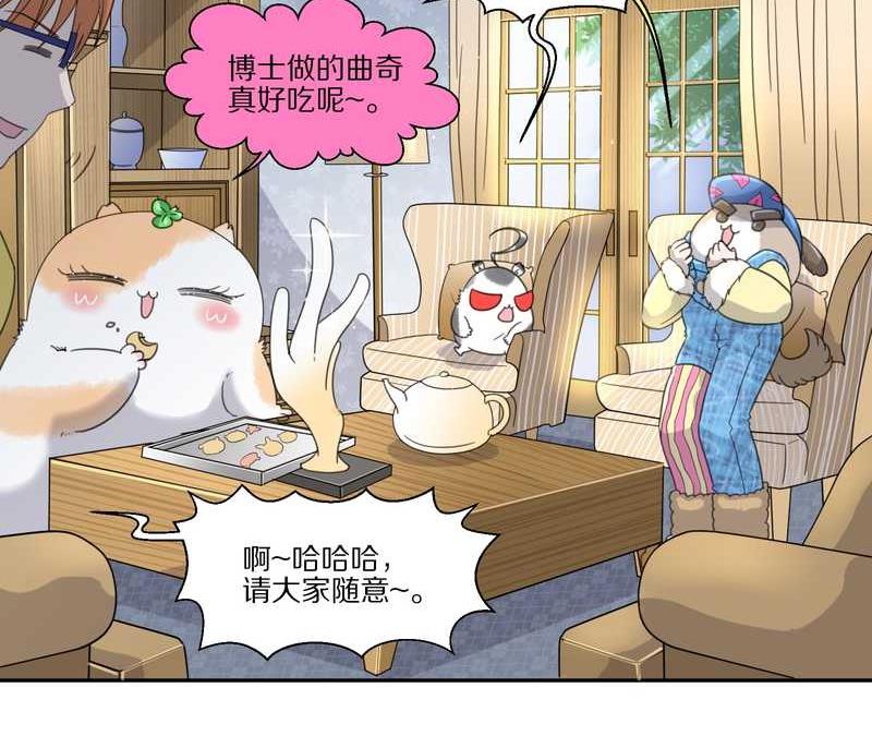 毛球星传说 第35集(1/2)-第35话