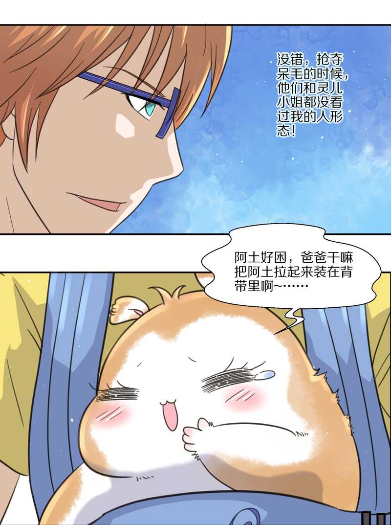 毛球星传说 第35集(1/2)-第35话