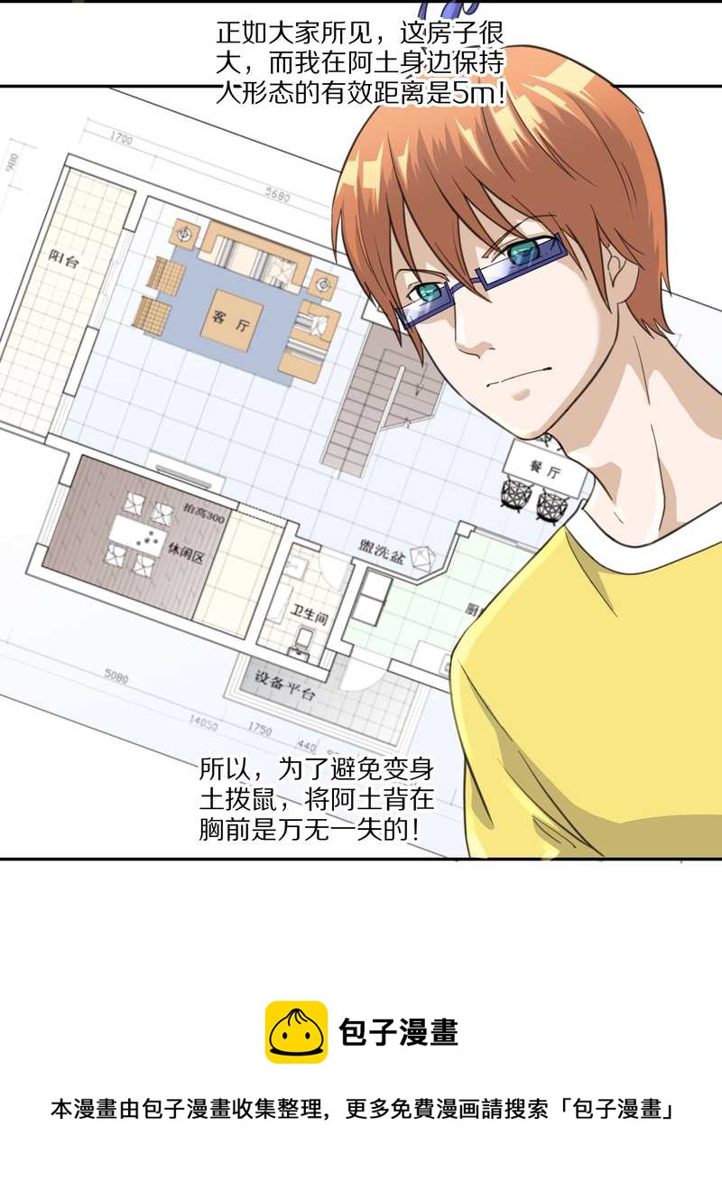 毛球星传说 第35集(1/2)-第35话