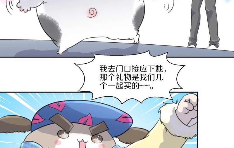 毛球星传说 第35集(1/2)-第35话
