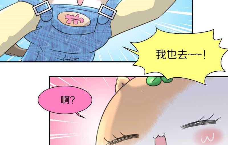 毛球星传说 第35集(1/2)-第35话