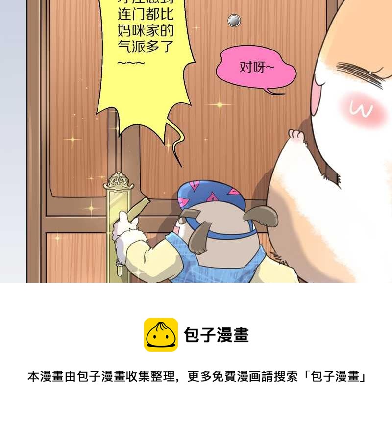 毛球星传说 第35集(1/2)-第35话