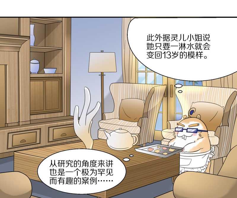 毛球星传说 第35集(1/2)-第35话