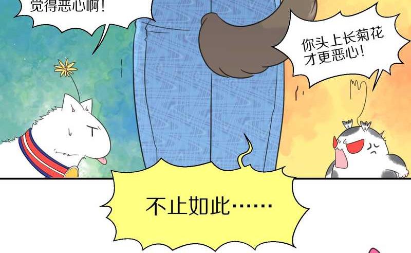 毛球星传说 第37集-第37话