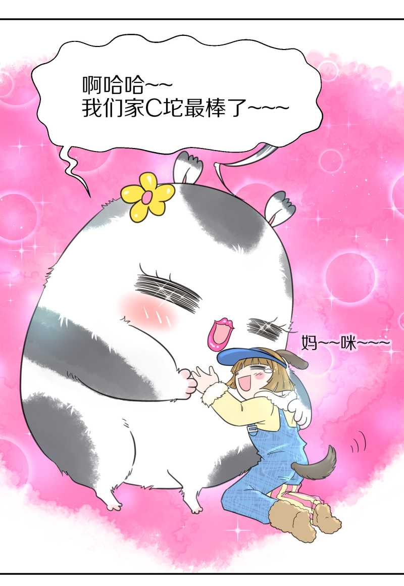 毛球星传说 第37集-第37话