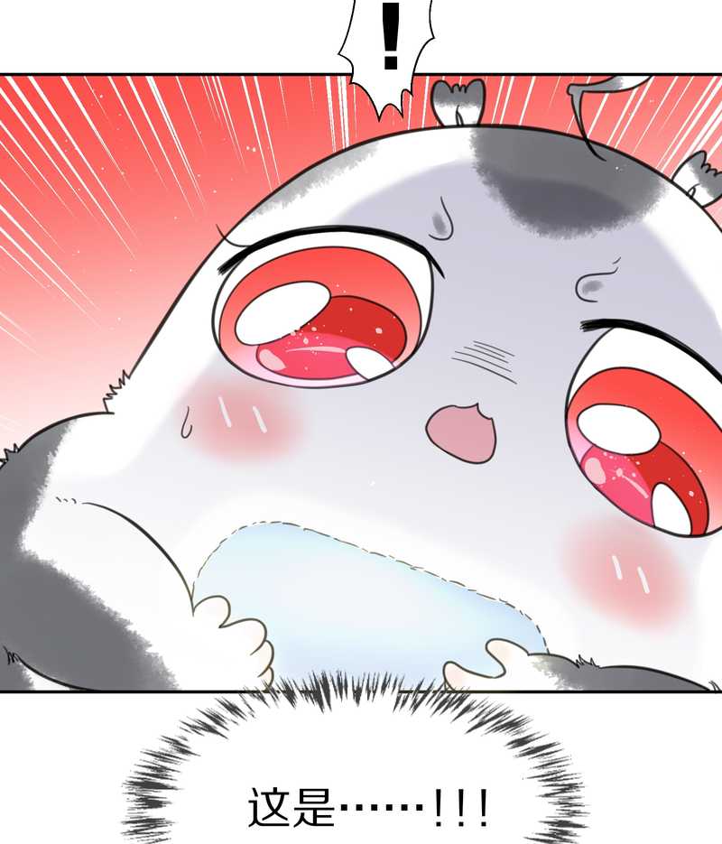 毛球星传说 第37集-第37话