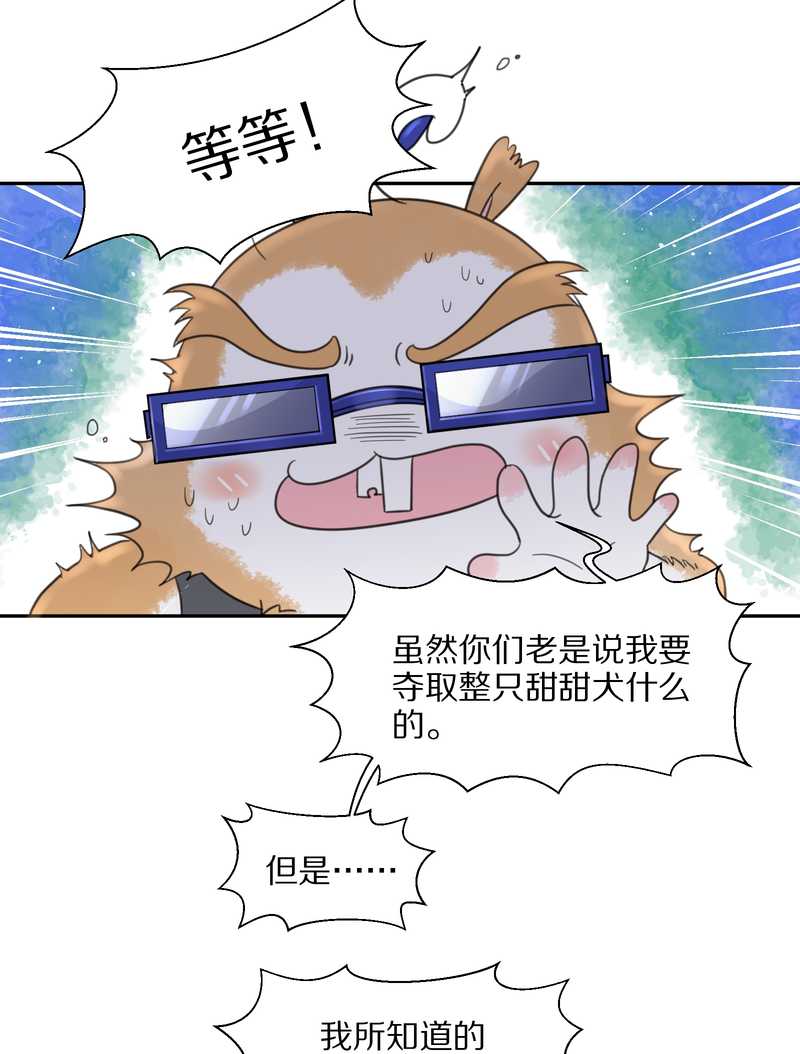 毛球星传说 第37集-第37话
