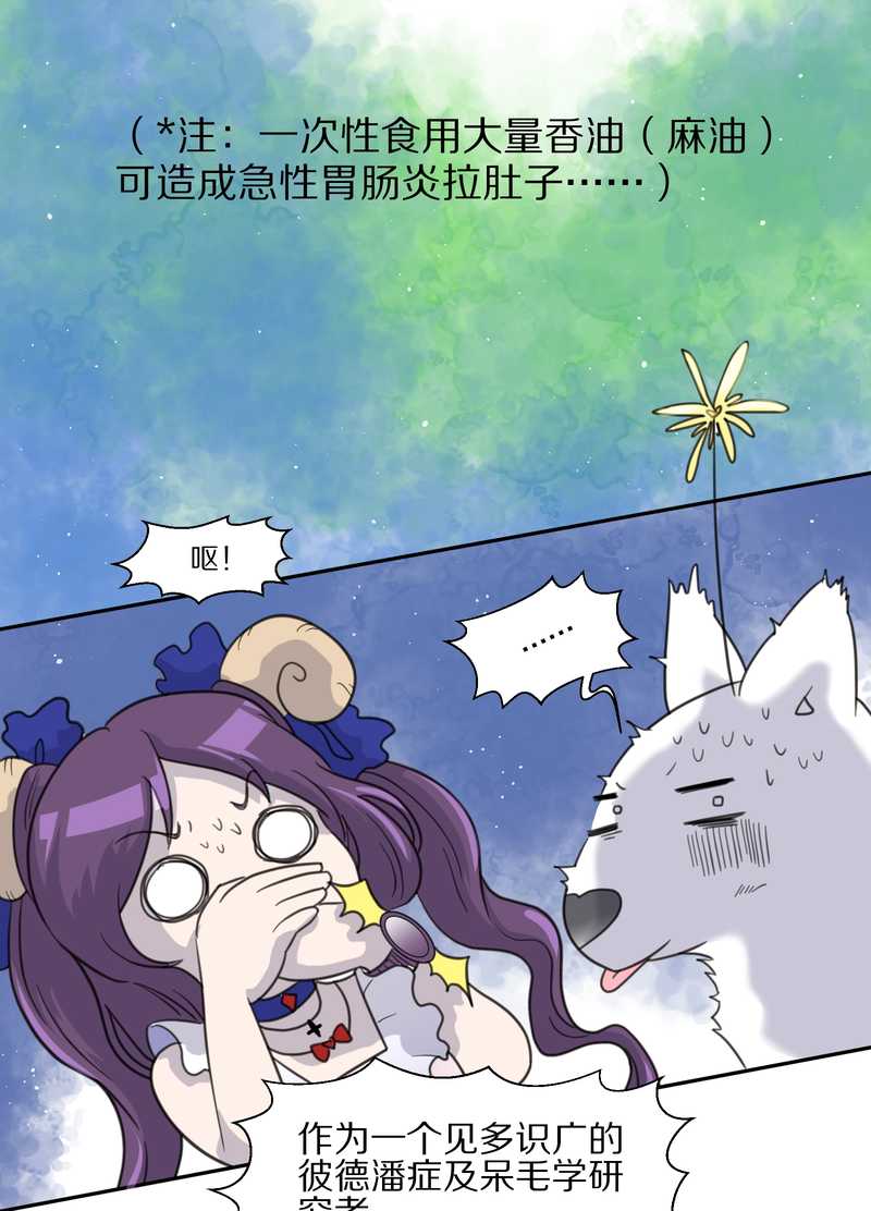 毛球星传说 第37集-第37话