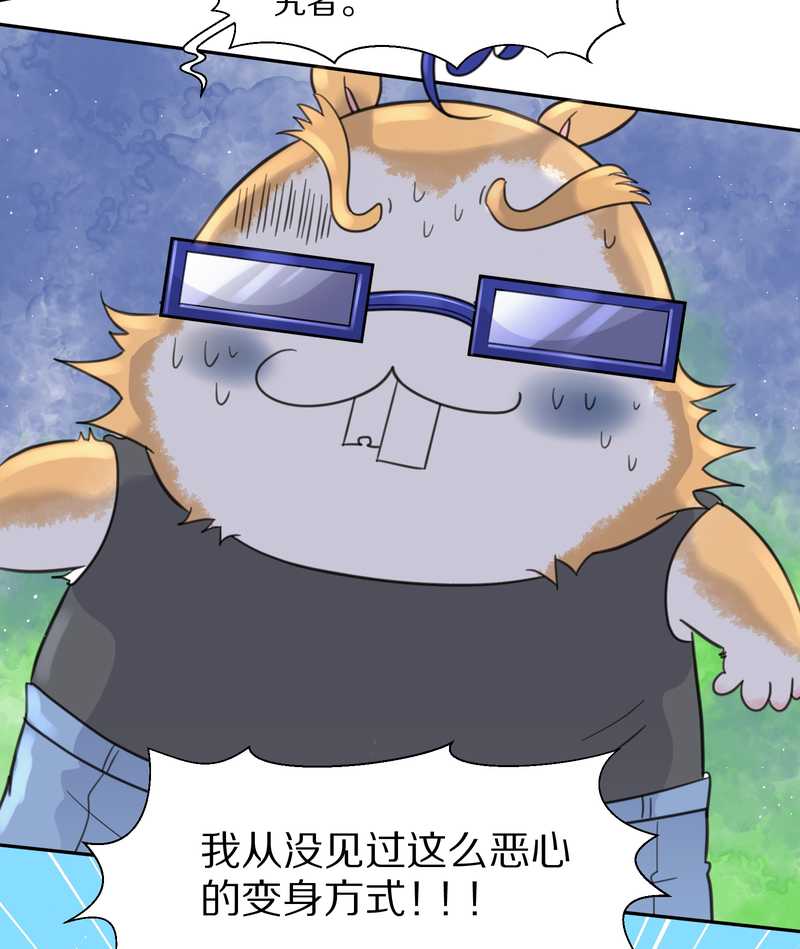 毛球星传说 第37集-第37话