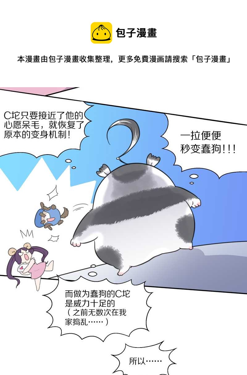 毛球星传说 第37集-第37话