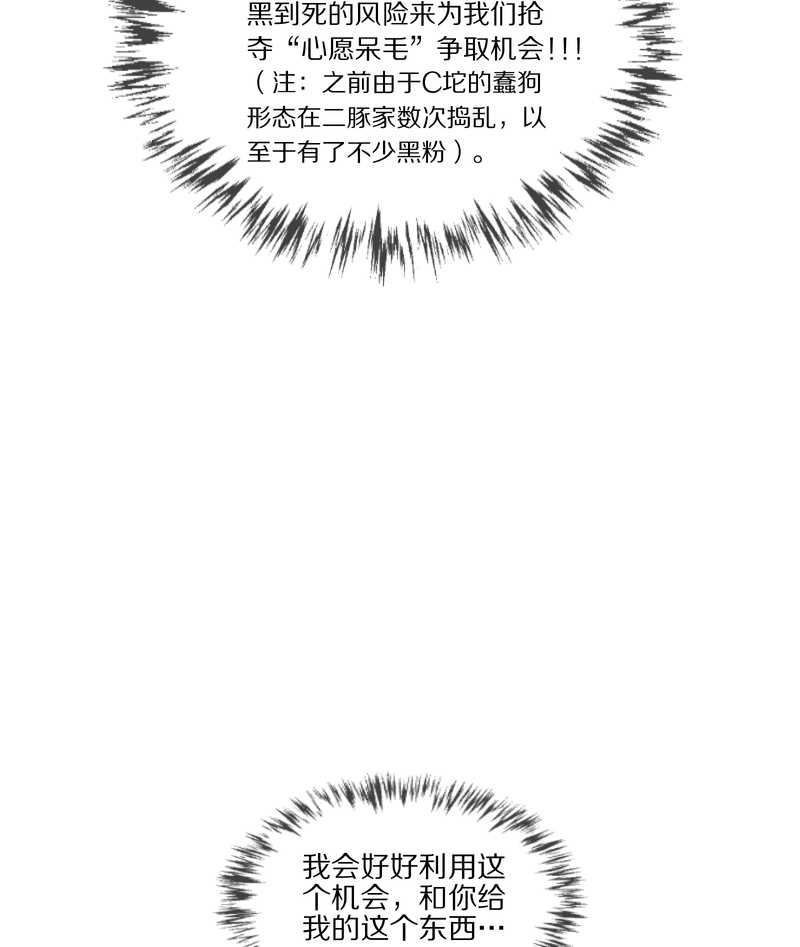 毛球星传说 第37集-第37话