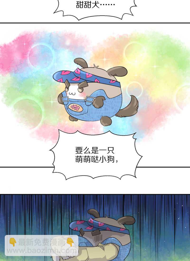 毛球星传说 第37集-第37话