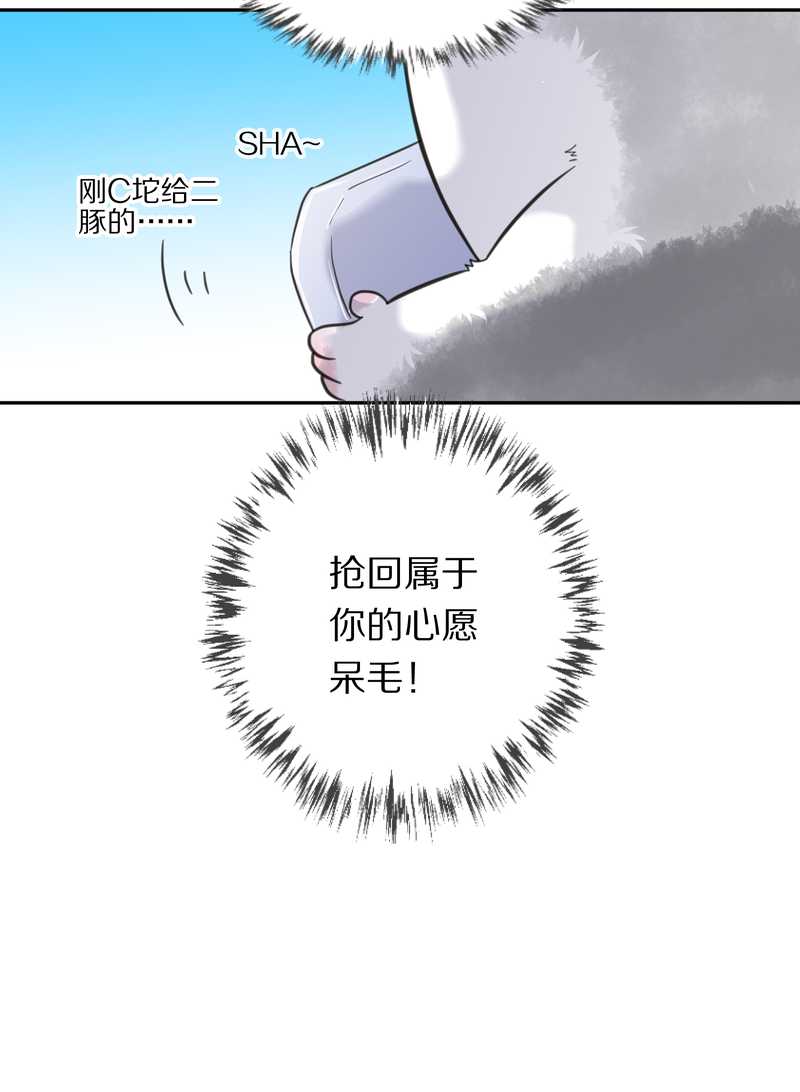 毛球星传说 第37集-第37话