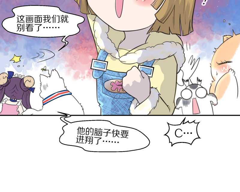 毛球星传说 第39集(1/2)-第39话