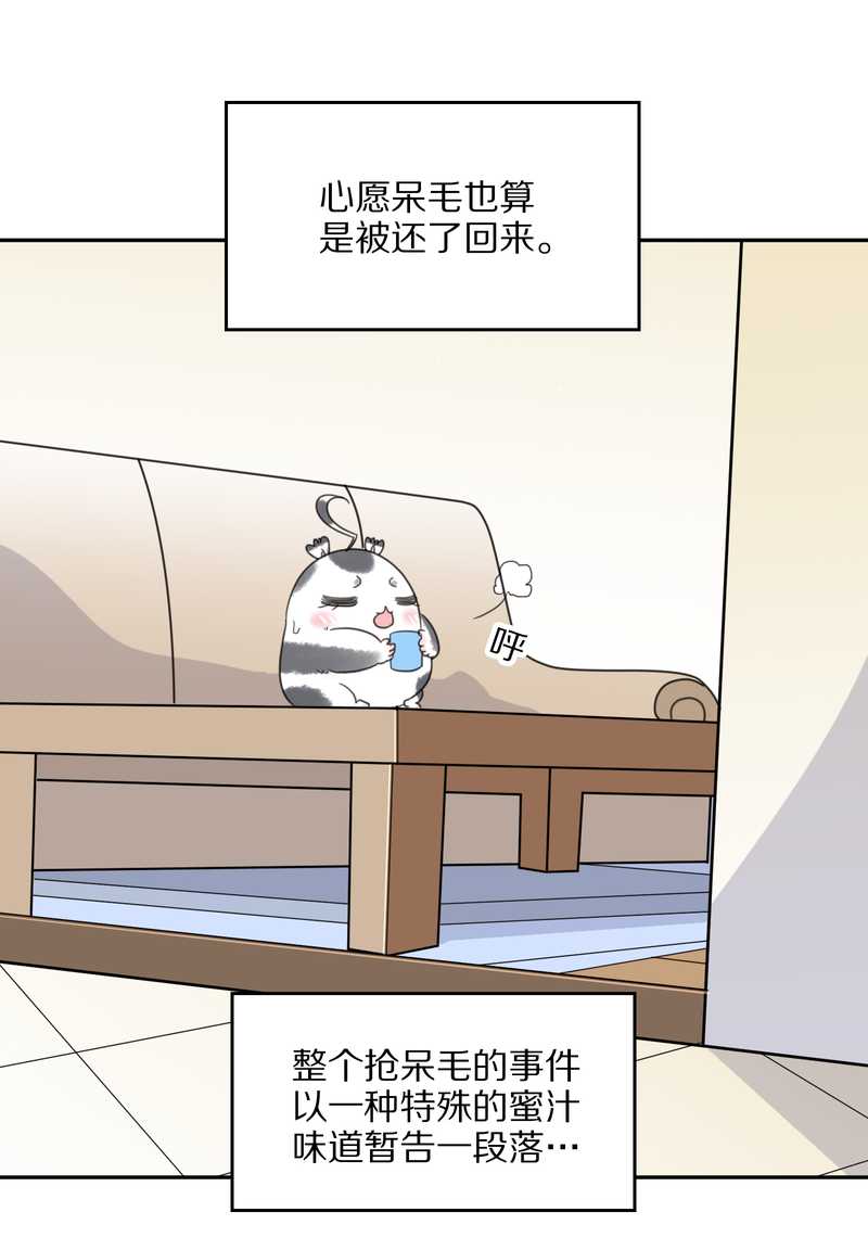 毛球星传说 第39集(1/2)-第39话