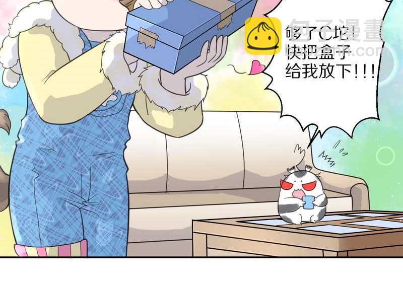 毛球星传说 第39集(1/2)-第39话
