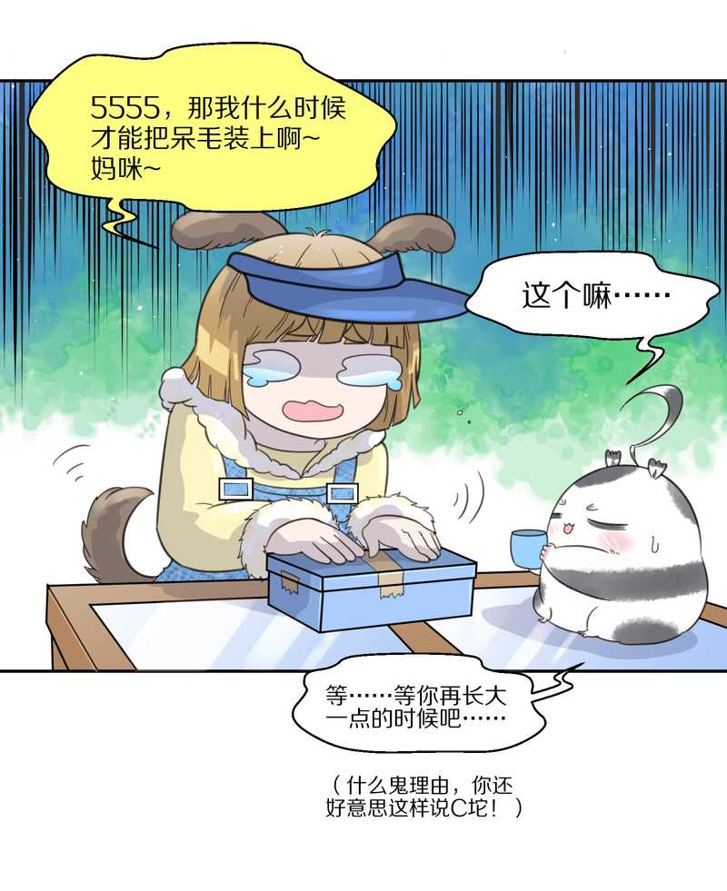 毛球星传说 第39集(1/2)-第39话