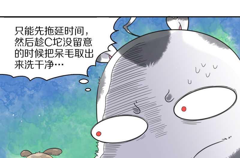 毛球星传说 第39集(1/2)-第39话
