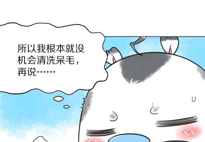 毛球星传说 第39集(1/2)-第39话