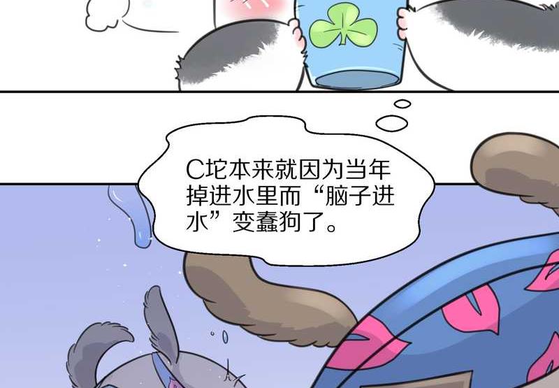 毛球星传说 第39集(1/2)-第39话