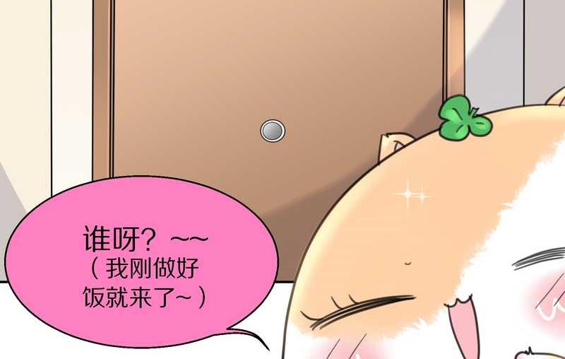 毛球星传说 第39集(1/2)-第39话