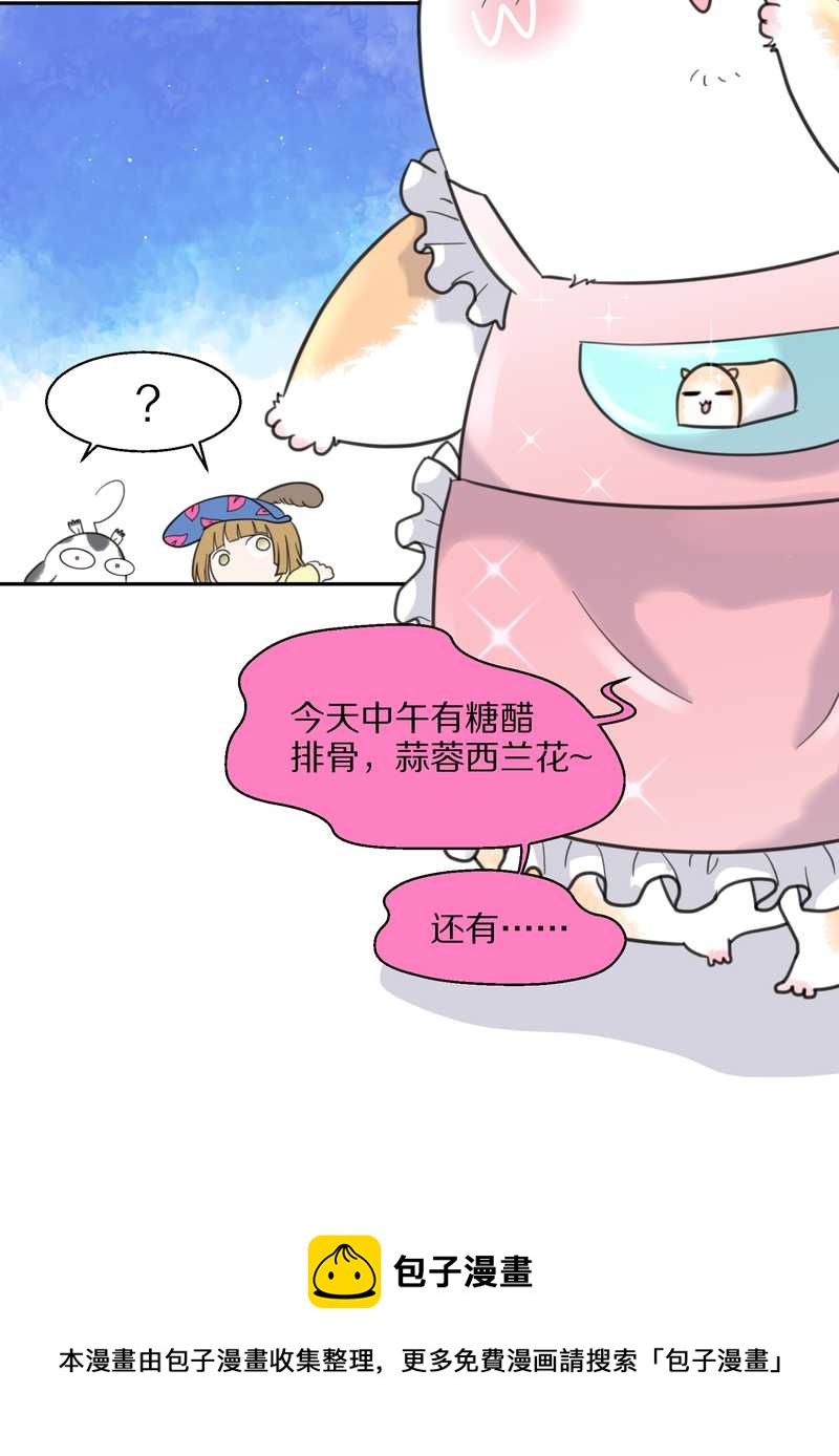 毛球星传说 第39集(1/2)-第39话