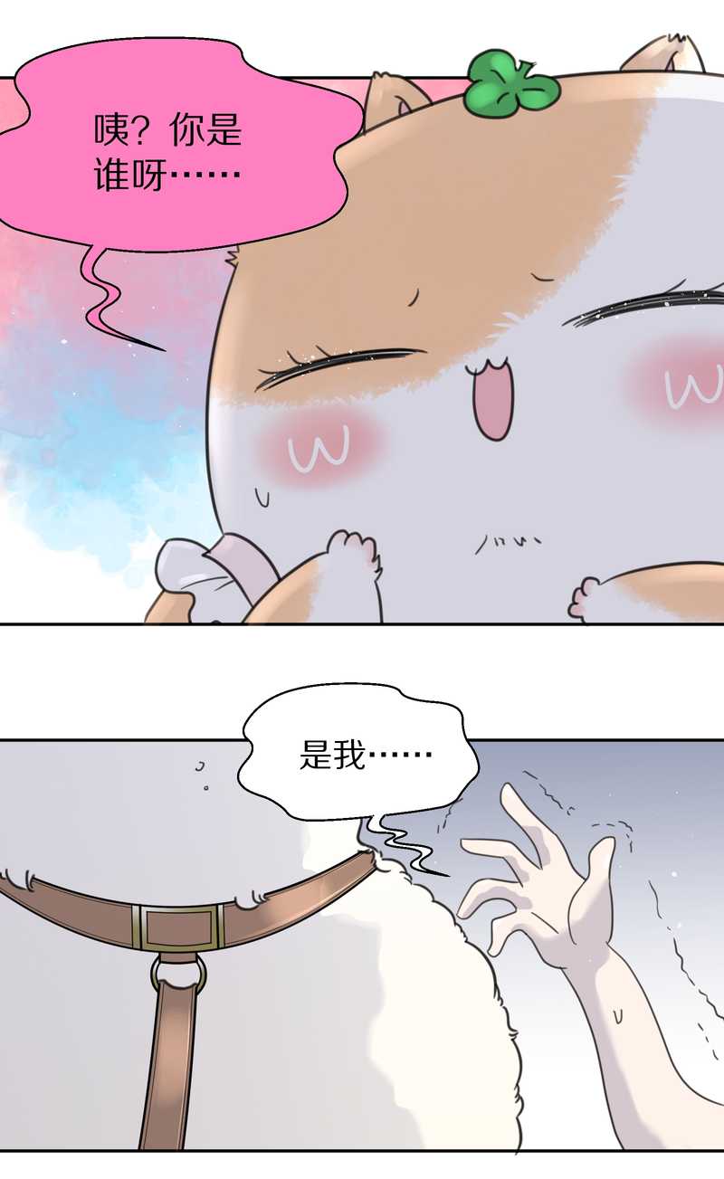 毛球星传说 第39集(1/2)-第39话
