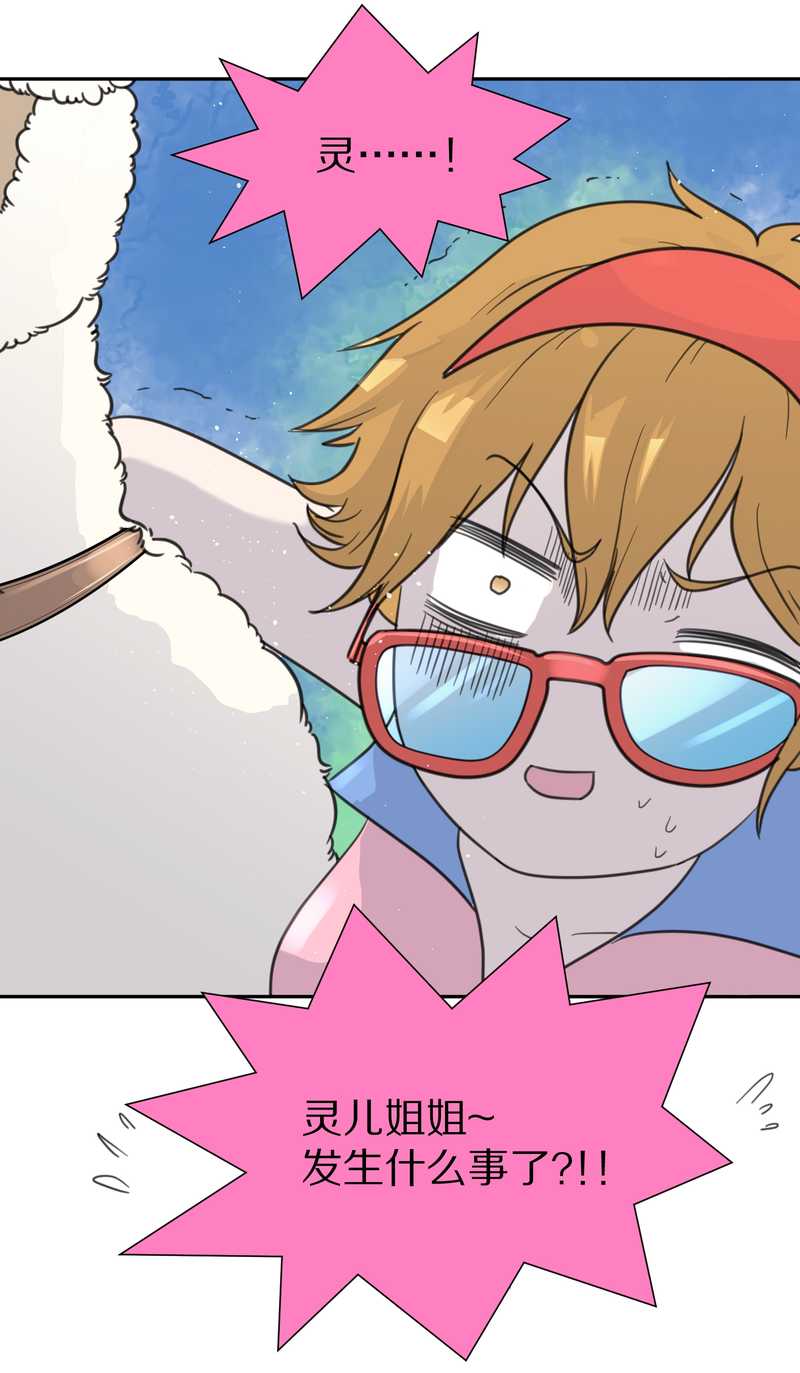 毛球星传说 第39集(1/2)-第39话
