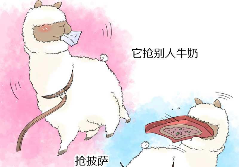毛球星传说 第39集(1/2)-第39话