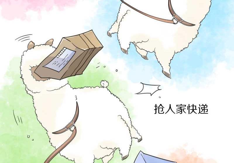 毛球星传说 第39集(1/2)-第39话