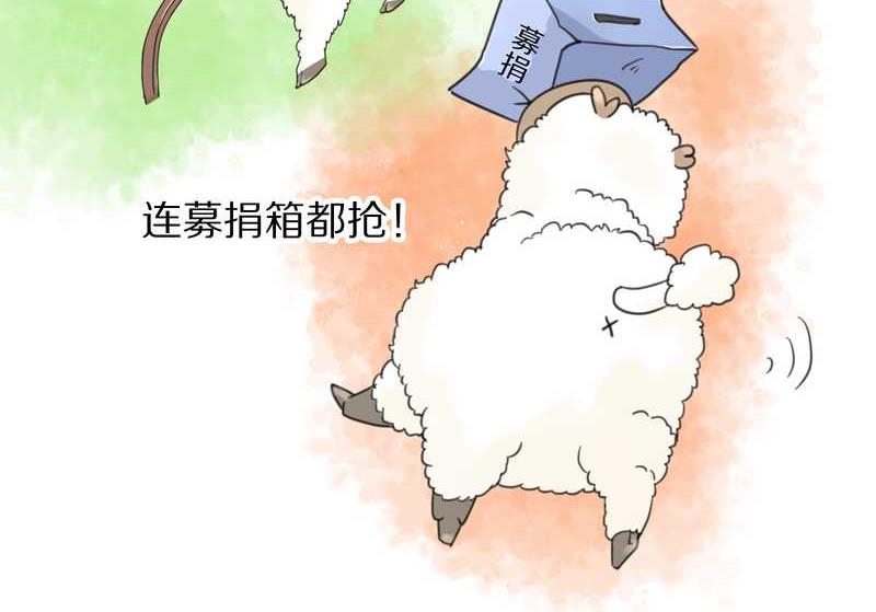 毛球星传说 第39集(1/2)-第39话